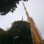 Dave Pendleton - @pendleton8471 - Instagram