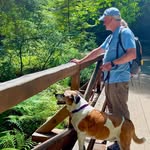 Dave Pendleton - @dave.pendleton.39 - Instagram