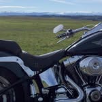 Dave Perkins - @daveperkins48 - Instagram