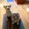 Dave Perkins - @dave.perkins20 - TikTok