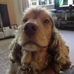 Dave Perryman - @daveipswich - Instagram