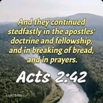 Dave Petersen - @cactusdavepetersen - Instagram