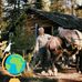 Dave Petersen - Facebook