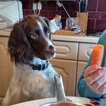 Dave le Petit - @davelepetit - Instagram