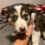 Dave Phelps - @dave.phelps.967 - Instagram