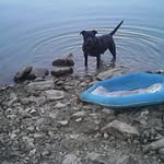 Dave Phelps - @davephelps123456 - Instagram