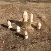 meat stick - @davephelps1 - TikTok