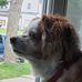Dave Phipps - Facebook