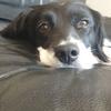 Dave Phipps - @dave.phipps12 - TikTok