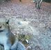 David Pickens - Facebook