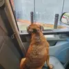 davepickles3 - @davepickles3 - TikTok