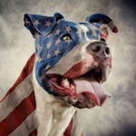 Dave Pillars - @davepillars5871 - Instagram