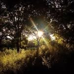 Dave Pingel - @davepingel2106 - Instagram