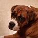 Dave Piscitelli - Facebook