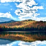 Dave Plante - @plante29 - Instagram