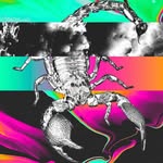 David Ploof (Basil) - @dlploof - Instagram