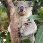 Dave Plumber - @dave.plumber.18 - Instagram