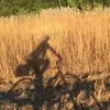 daveplumb22 - @daveplumb22 - TikTok