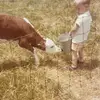 Dave Bogenpohl - @davebogenpohl - TikTok