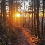 Dave Poland - @gsidave1 - Instagram