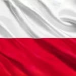 David Move To Poland - @david_move_to_poland - Instagram