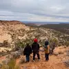 Dave O Pollock - @dave.pollock - TikTok