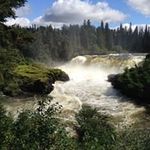 Dave Pollock - @dave.pollock.9699 - Instagram