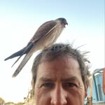 David Pollock - @dave_wooleen - Instagram