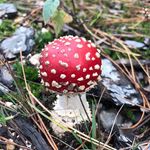 Dave Polson - @dave.polson - Instagram