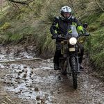 Dave Polson - @polsondave - Instagram