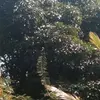 Dave Ponce - @dave.ponce4 - TikTok