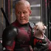 davepool - @the_comicman - TikTok