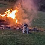 Dave Poorman - @davepoorman1 - Instagram