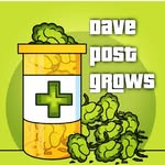dave post - @davepost61 - Instagram