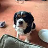 Dave Potts - @davepotts80 - TikTok