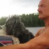 davepotts5 - @davepotts5 - TikTok