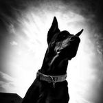 Dave Poulson - @poulsondave - Instagram