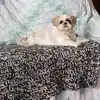daveprahl - @dave.prahl - TikTok