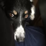 Dave Preece - @davidgpreece - Instagram