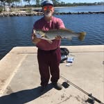 Dave Prentice - @groupergroper1 - Instagram