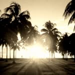 Dave Prentice - @dave_p_68 - Instagram