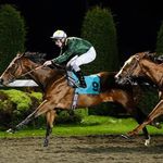 Dave Proctor - @daveproctor43 - Instagram