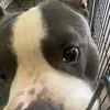 Daven Proctor - @daven.proctor - TikTok