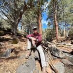 Dave Pugh - @davepugh8 - Instagram