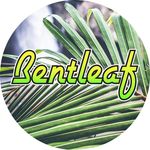 Dave Pugh - @bentleafdnb - Instagram