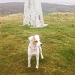 David Pugh - @davepughy007 - Instagram