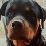 Dave Purvis - @dave73yk - Instagram