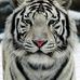 David Putman - Facebook