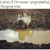 Dave Quamina - @dave.quamina - TikTok