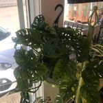 Dave Querry - @dave.querry - Instagram